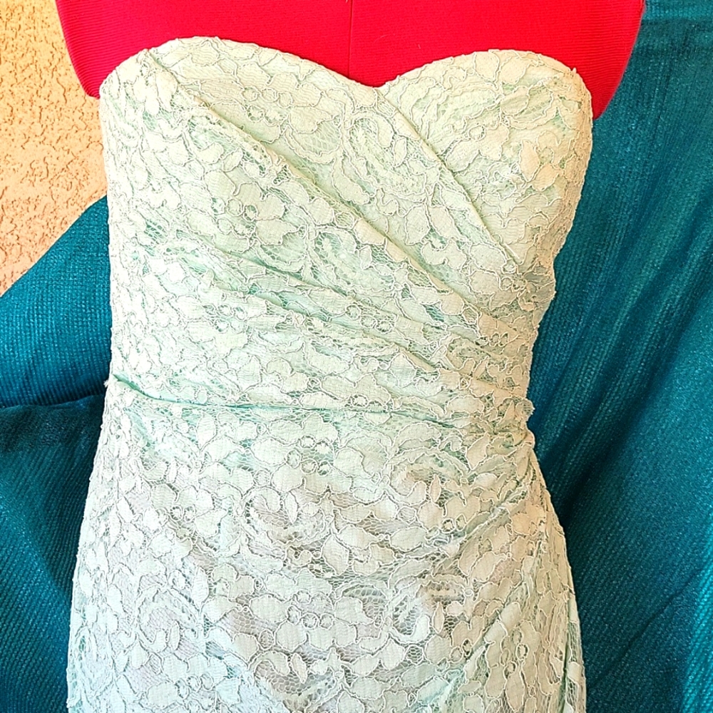 David's Bridal Mint Green Lace Bride's Maid Gown Long Maxi Dress sz 8